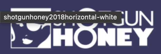 Shotgun Honey logo